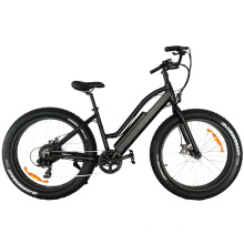 Fat Tire Folding Electric Bicycle 48V 500W Electric Fat Tire Mountain Bike